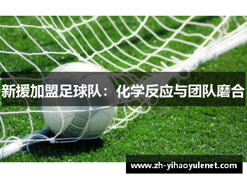 新援加盟足球队:化学反应与团队磨合